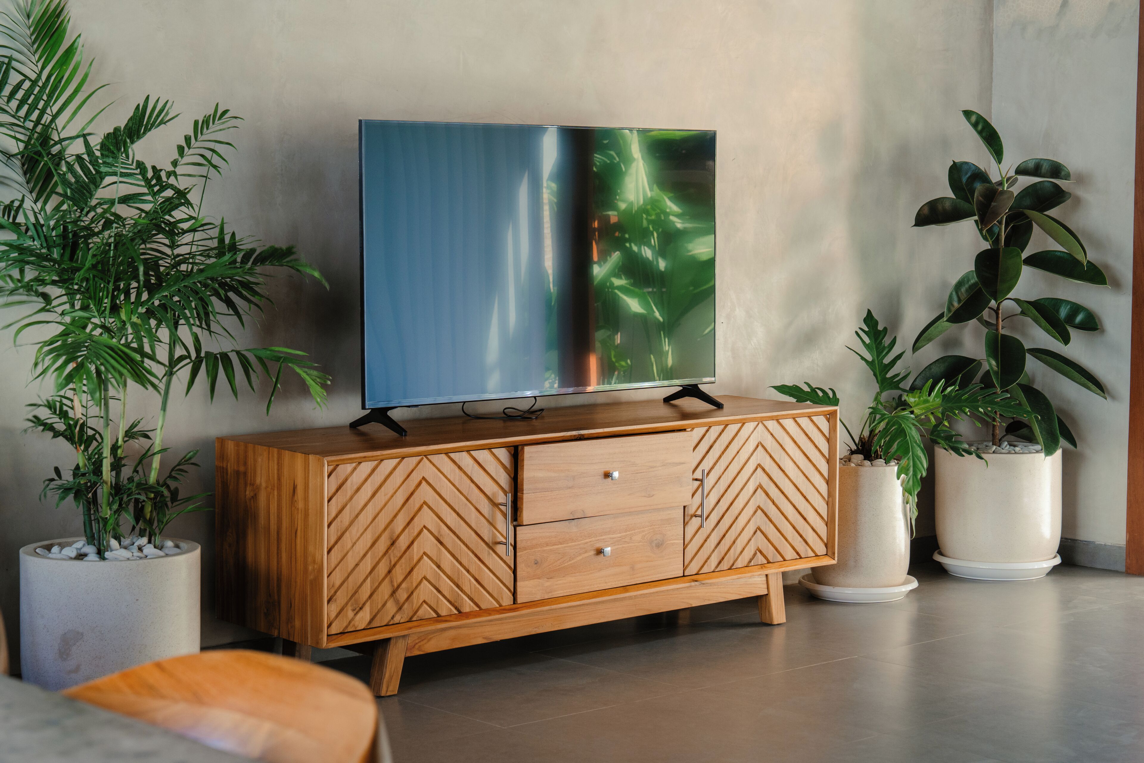 Un mueble de madera con un televisor encima, flanqueado por plantas en macetas.