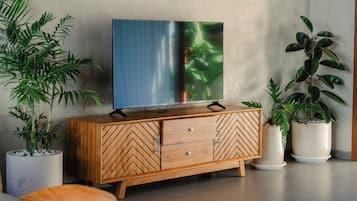 Un mueble de madera con un televisor encima, flanqueado por plantas en macetas.