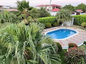 Une piscine entourée d’une végétation luxuriante et d’un jardin bien entretenu.