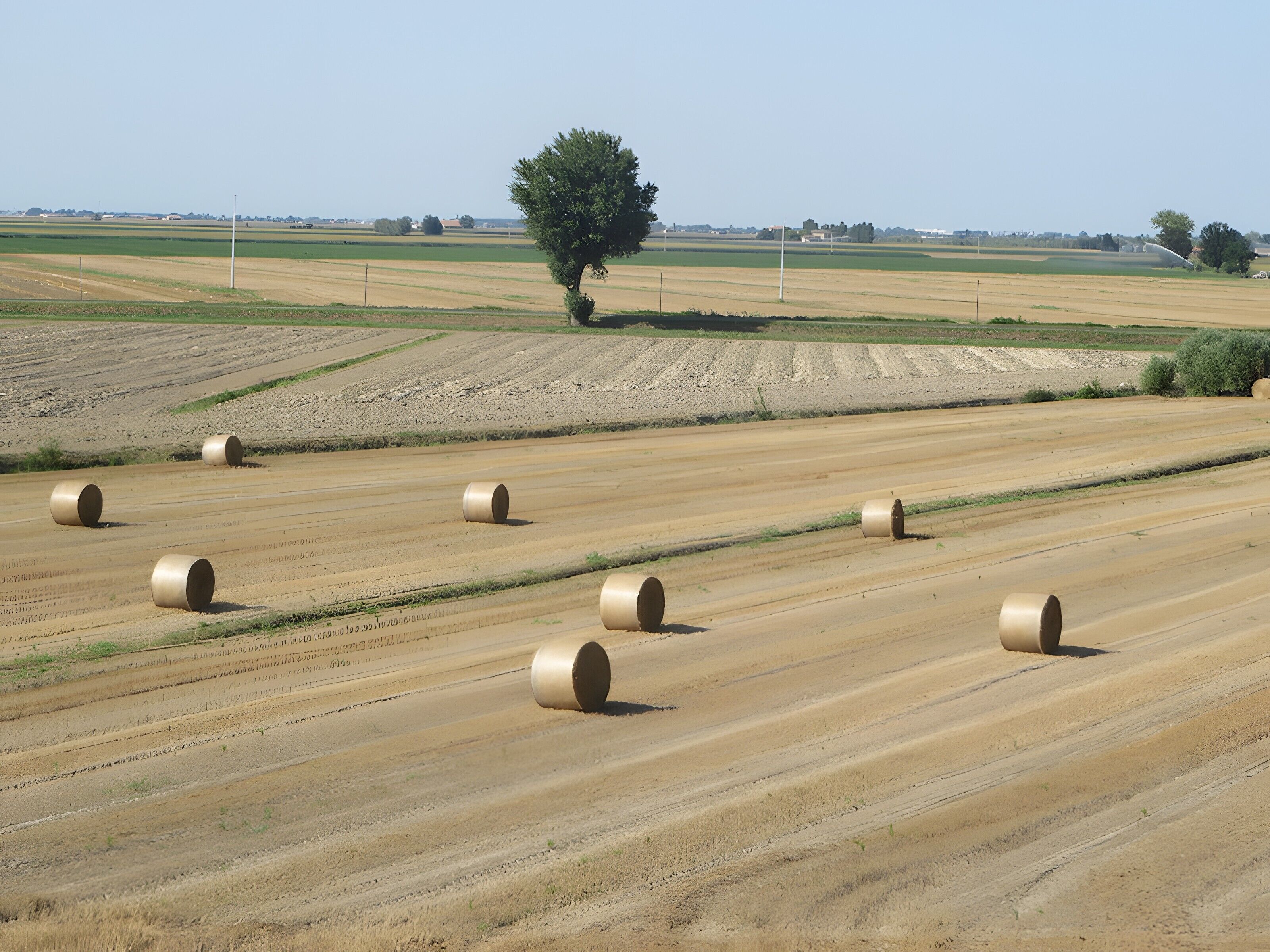 Ländliche Landschaft mit Feldern und Heuballen.