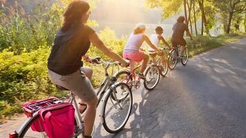 Un grupo de personas andando en bicicleta por un camino rodeado de vegetación.