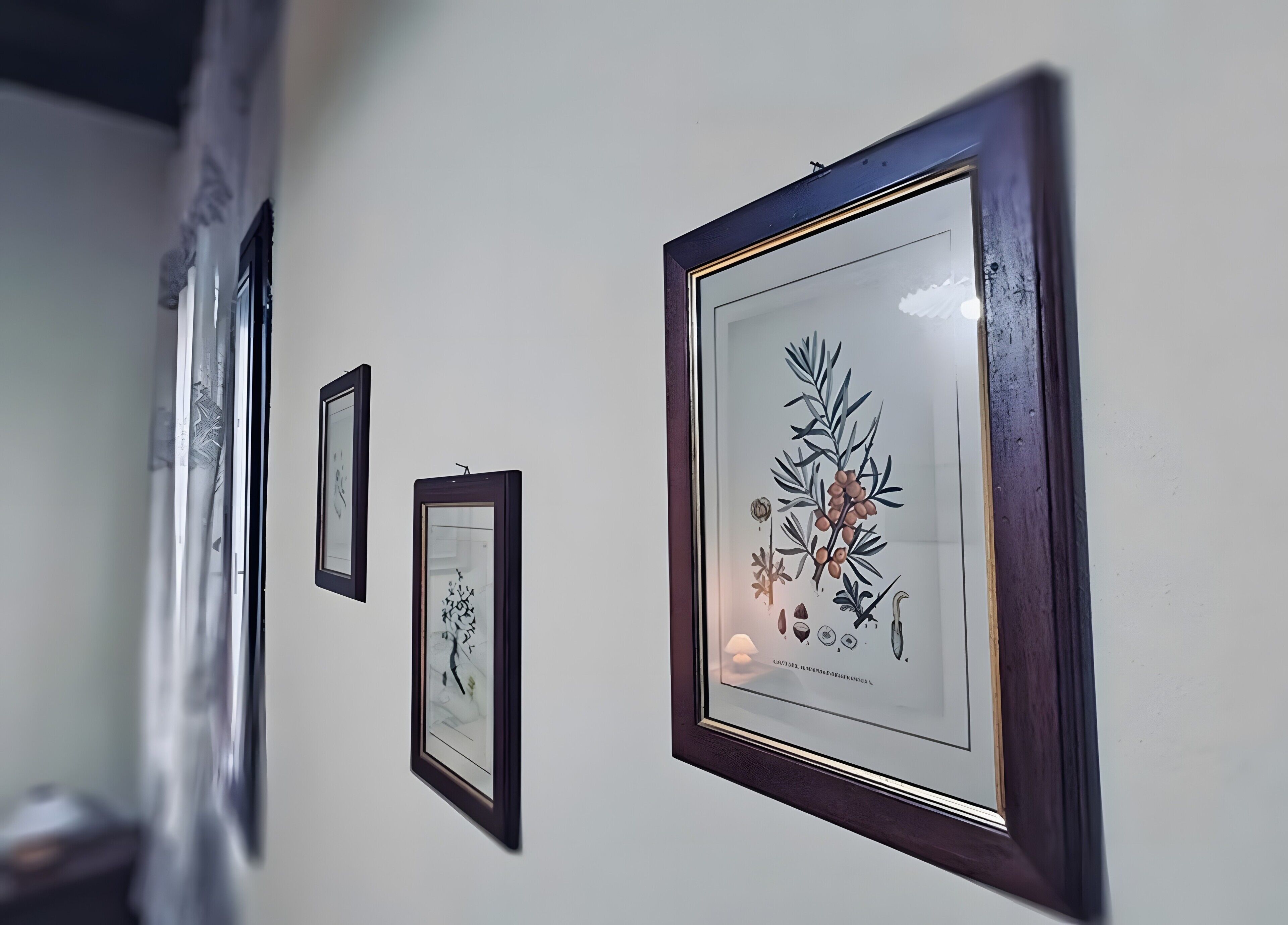 Framed botanical artwork on a wall.
