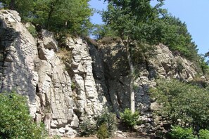 A rocky cliff with trees.