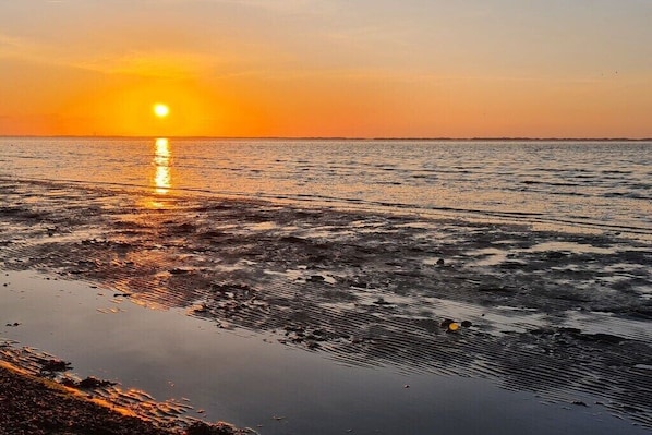 A beach scene with a sunset over the water. - What luck! - with a fence (Neßmersiel, Ostfriesland, Nordsee)