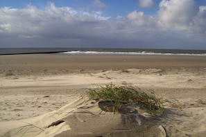 Ein Strand mit Sand, Gras und dem Meer.