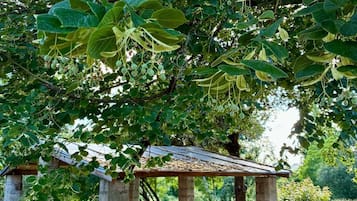 Un gazebo con una panchina, circondato da alberi e ghiaia.