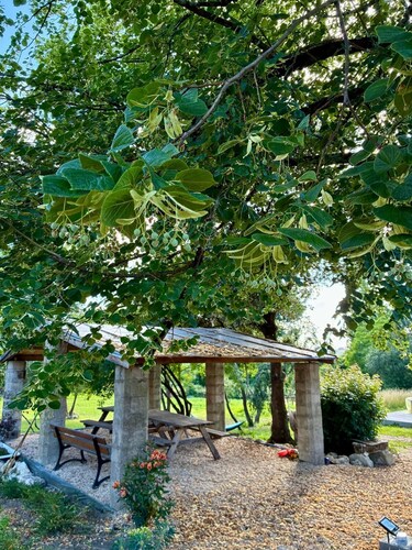 A cozy home in a relaxing setting