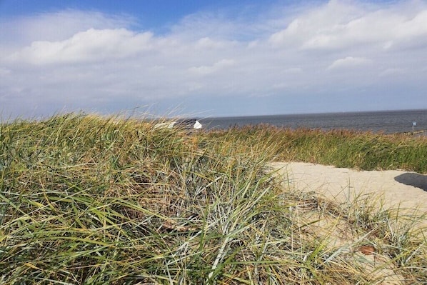 A beach with sand and grass. - Holiday home in Hooksiel with swimming pool (Hooksiel)