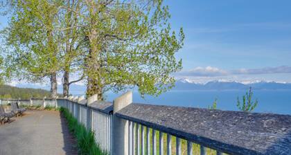 Whale Watch, Fish & Hike Glaciers! Homer Apartment