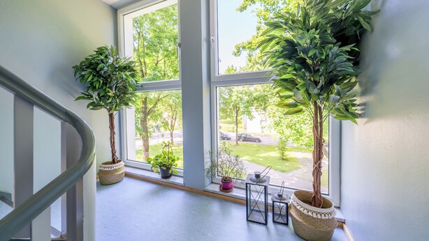 A staircase with potted plants on the landing.