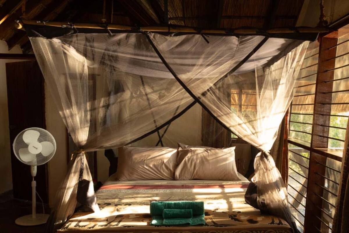 A room with a bed under a mosquito net, a standing fan, and a window with wooden shutters.
