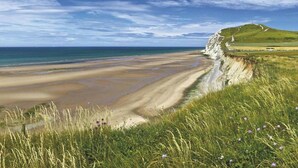 Eine Küstenlandschaft mit Sandstrand, Grasflächen und einer Klippe.
