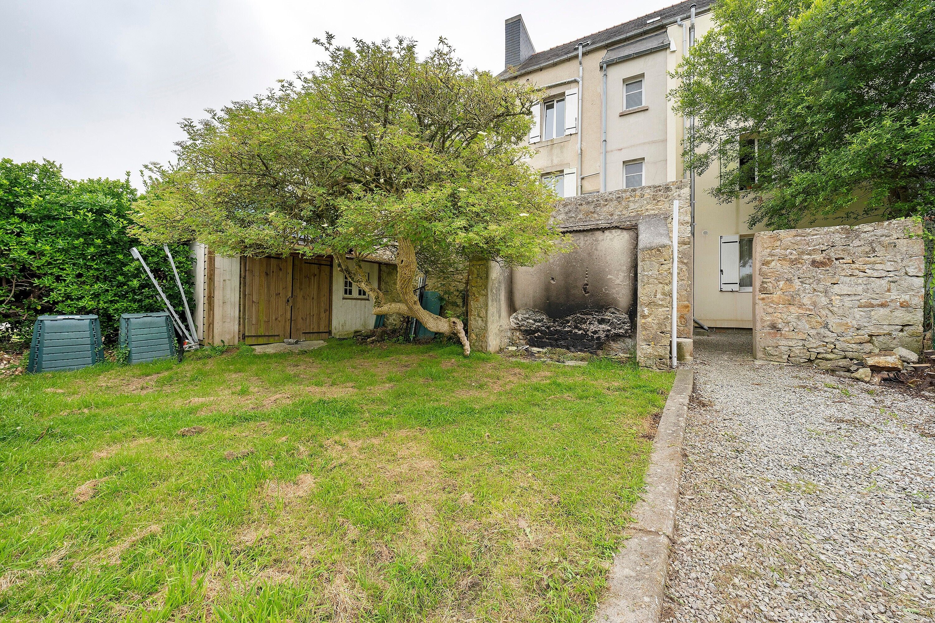 A backyard with a tree, a stone wall, and a building with a window.