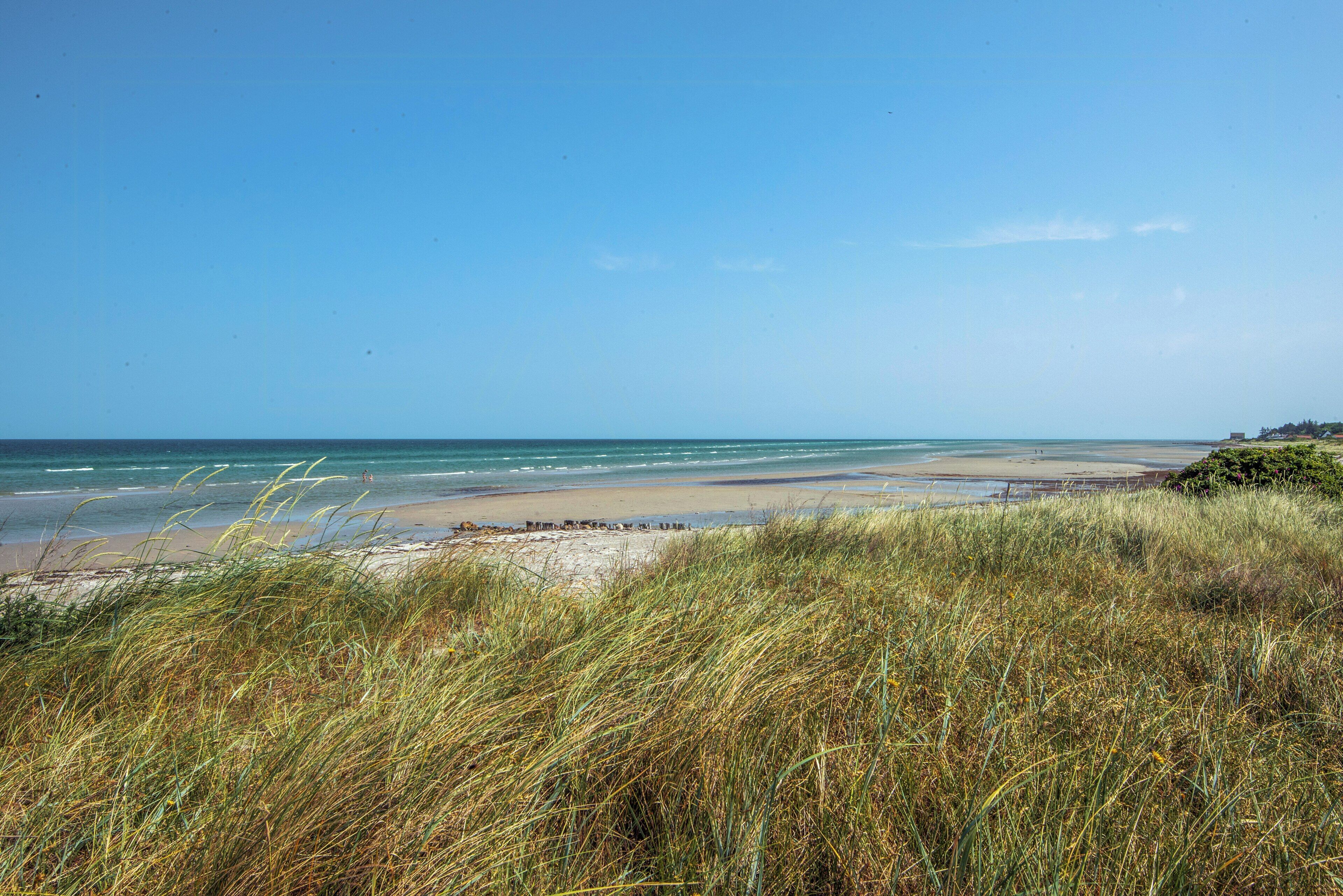 Et kystlandskab med strand, græsdyner og en klar himmel.