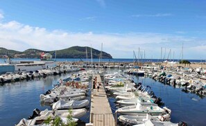 A marina with numerous boats docked, a pier, and a mountainous backdrop.