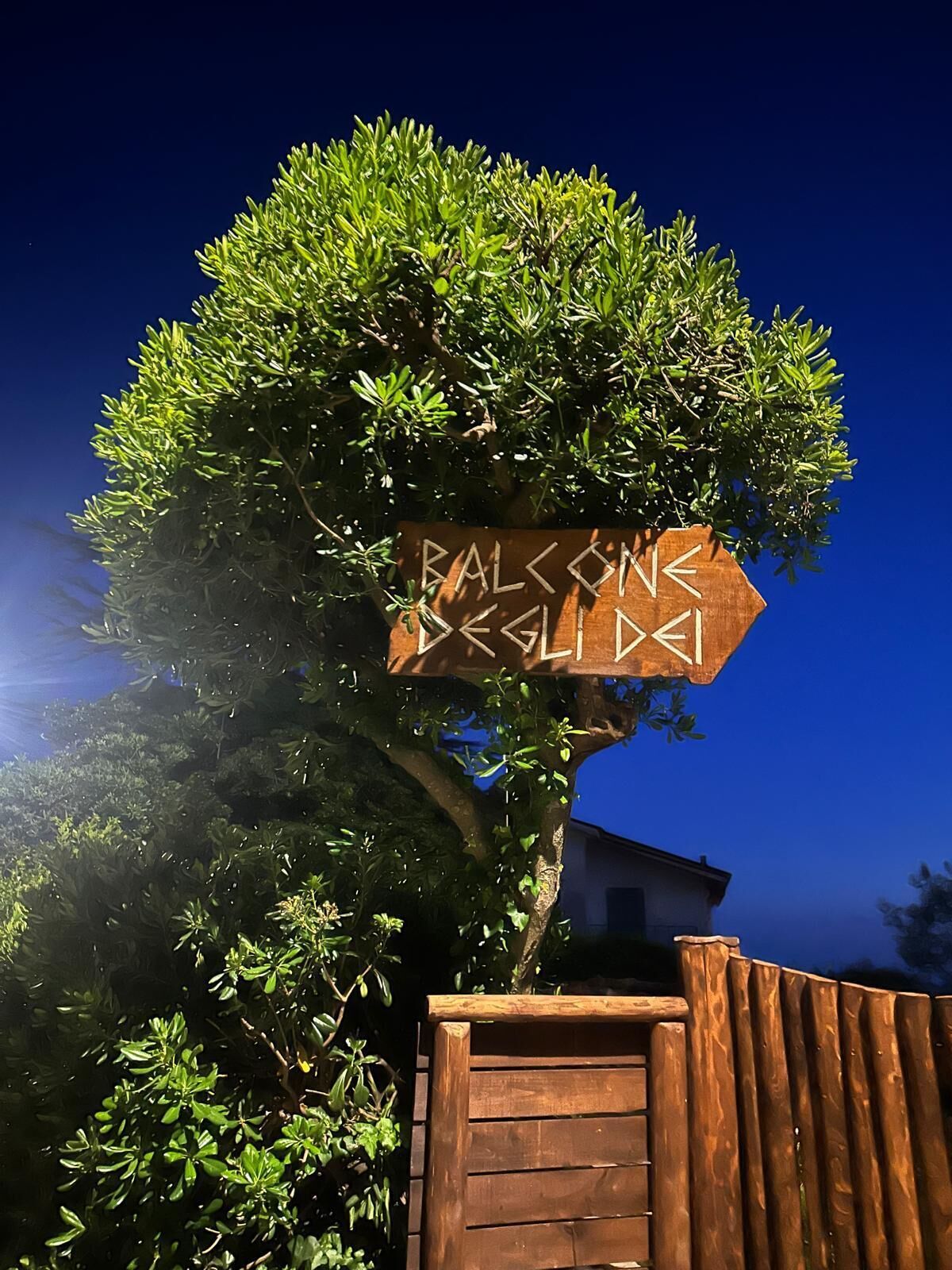 Ein hölzernes Schild mit dem Aufschrift 'BALCONES DESIGNED BY', angebracht an einem Baum.