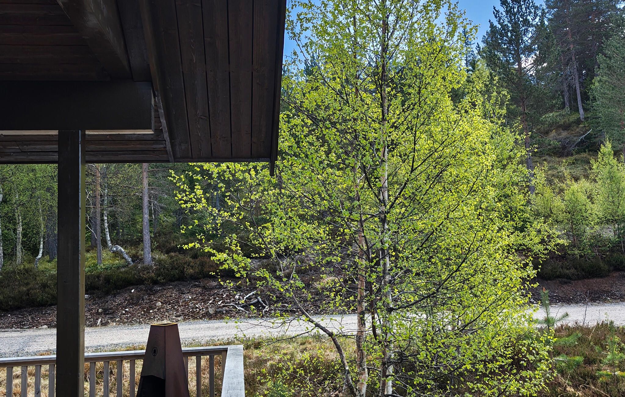 Una struttura in legno con vista su una zona boschiva e un fiume.
