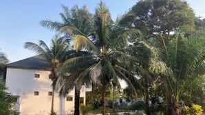 Un bâtiment blanc avec un toit en pente, entouré de palmiers et d’une zone herbeuse.