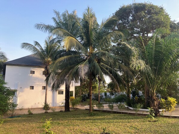 Property grounds - Spacious beachfront villa with landscape garden, yoga room and ocean view (Cap Skirring)