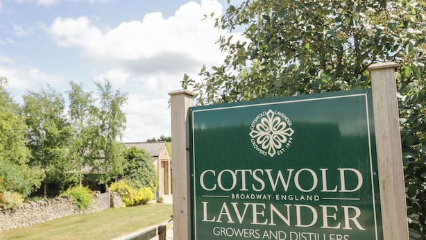 A sign for Cotswold Lavender Growers and Distillers, indicating a business specializing in lavender products.