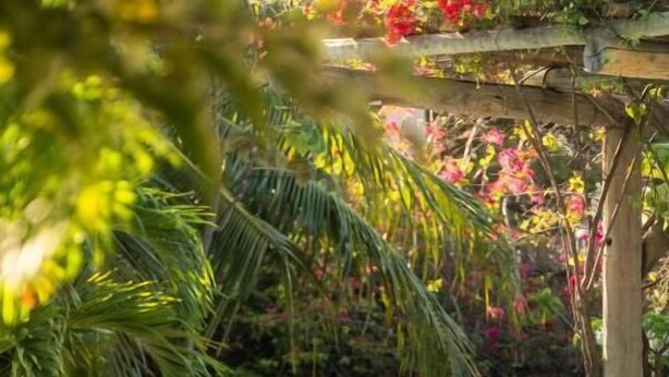 A pool area with a lounge chair, a spherical object, and lush greenery. - Pousada Pais Tropical (Amontada)