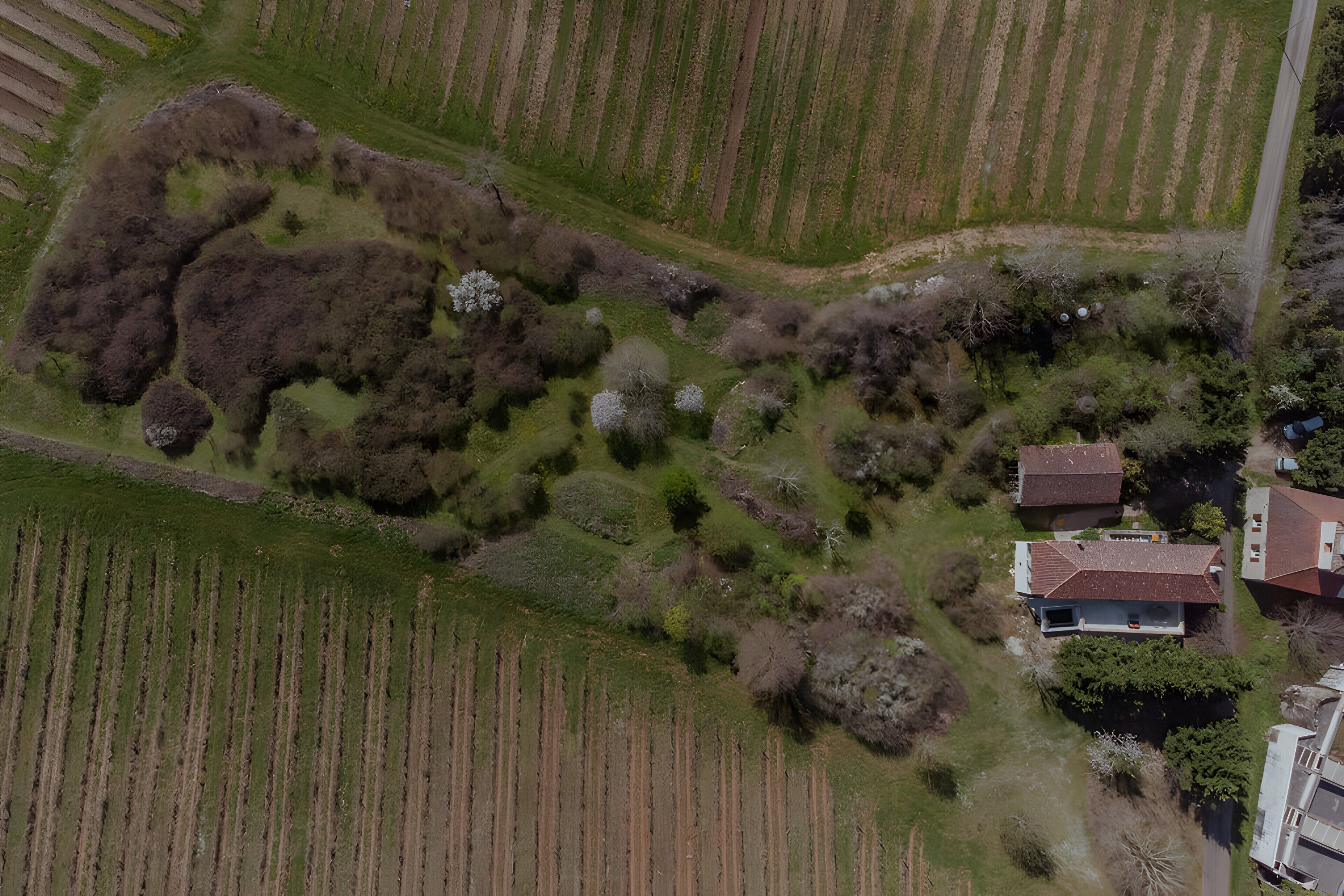 Une vue aérienne d’une zone rurale, avec des champs, un sentier sinueux et un groupe de maisons aux toits rouges.