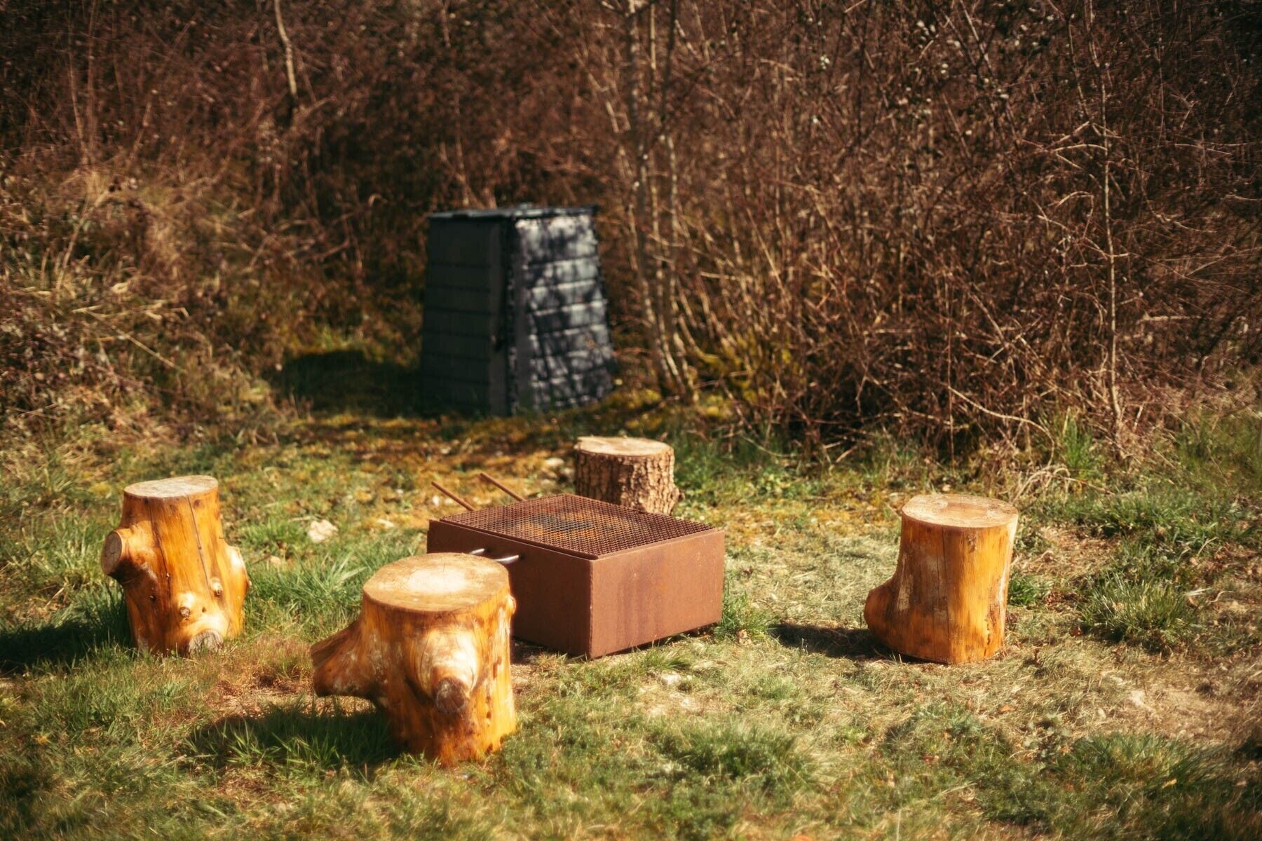 A grassy area with four wooden stumps and a metal box.