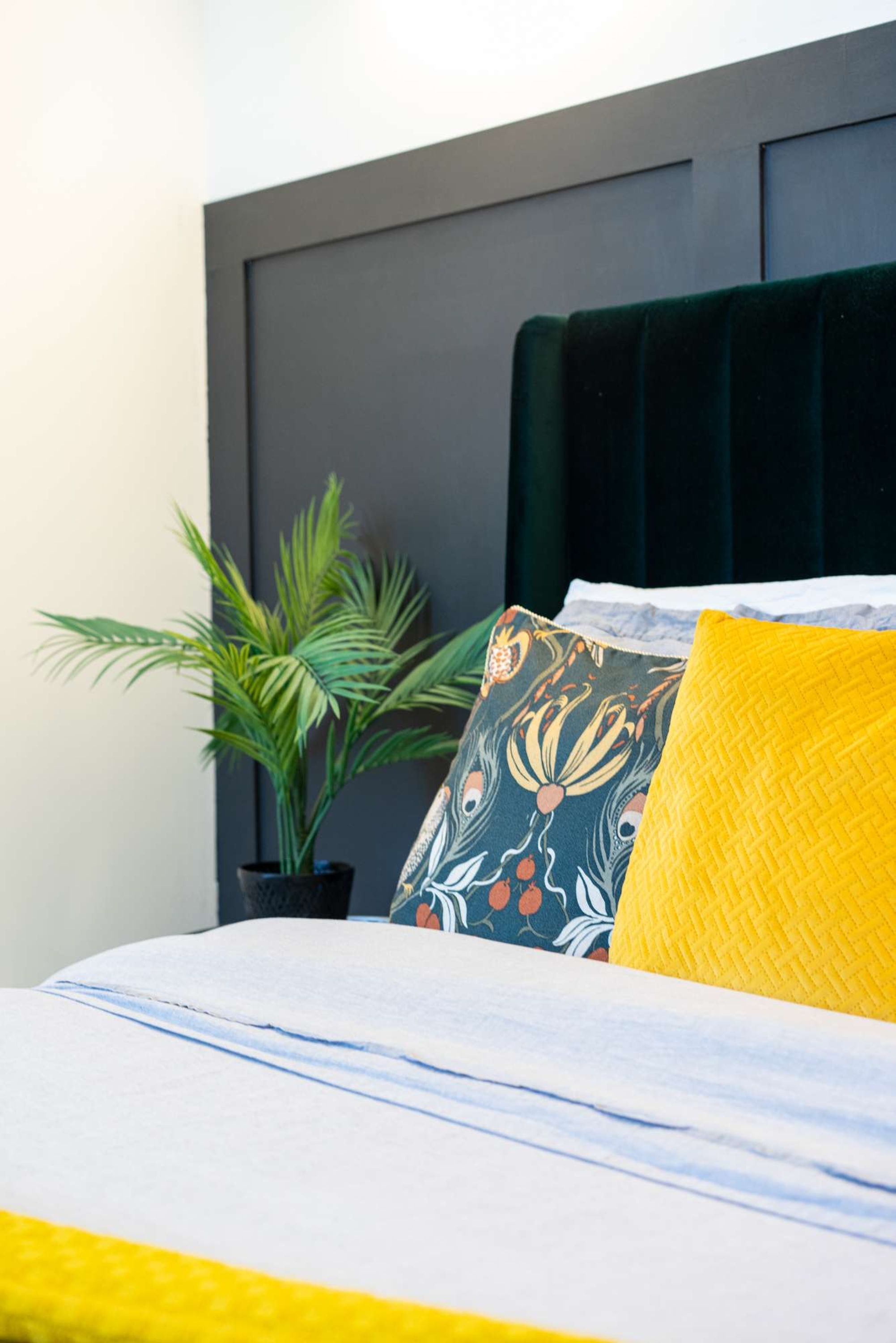 1 bedroom, Internet