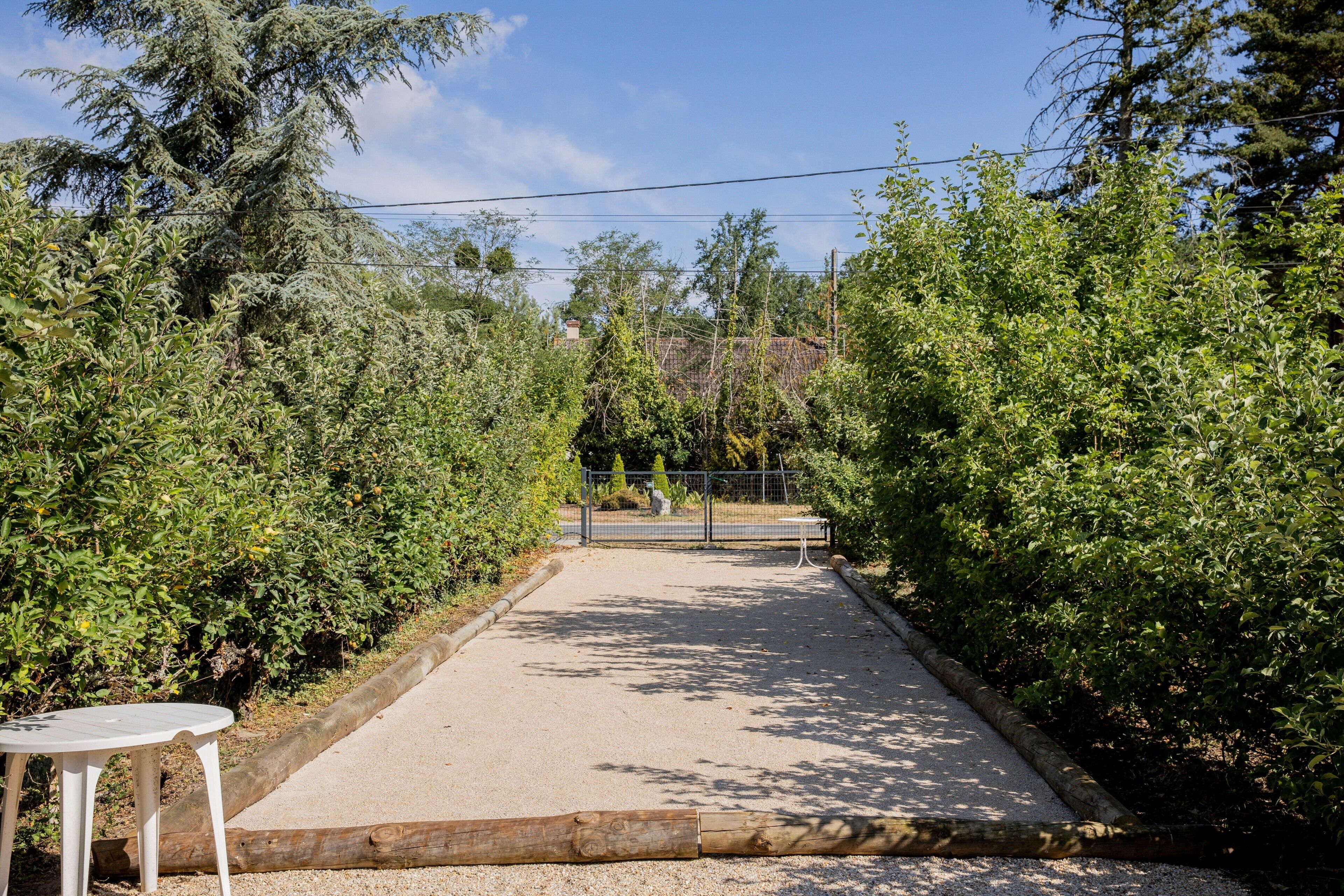 A paved pathway flanked by dense greenery, a small white table, and a metal fence in the distance.