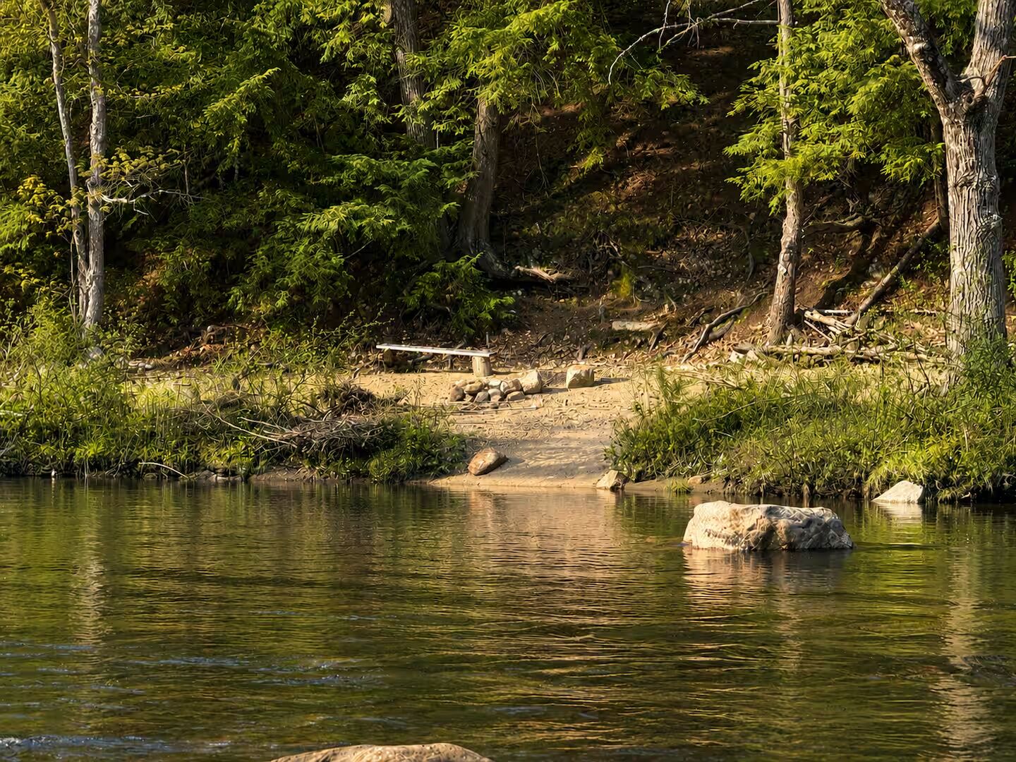 A forested area with a calm river, a wooden bridge, and a dirt path leading into the woods.