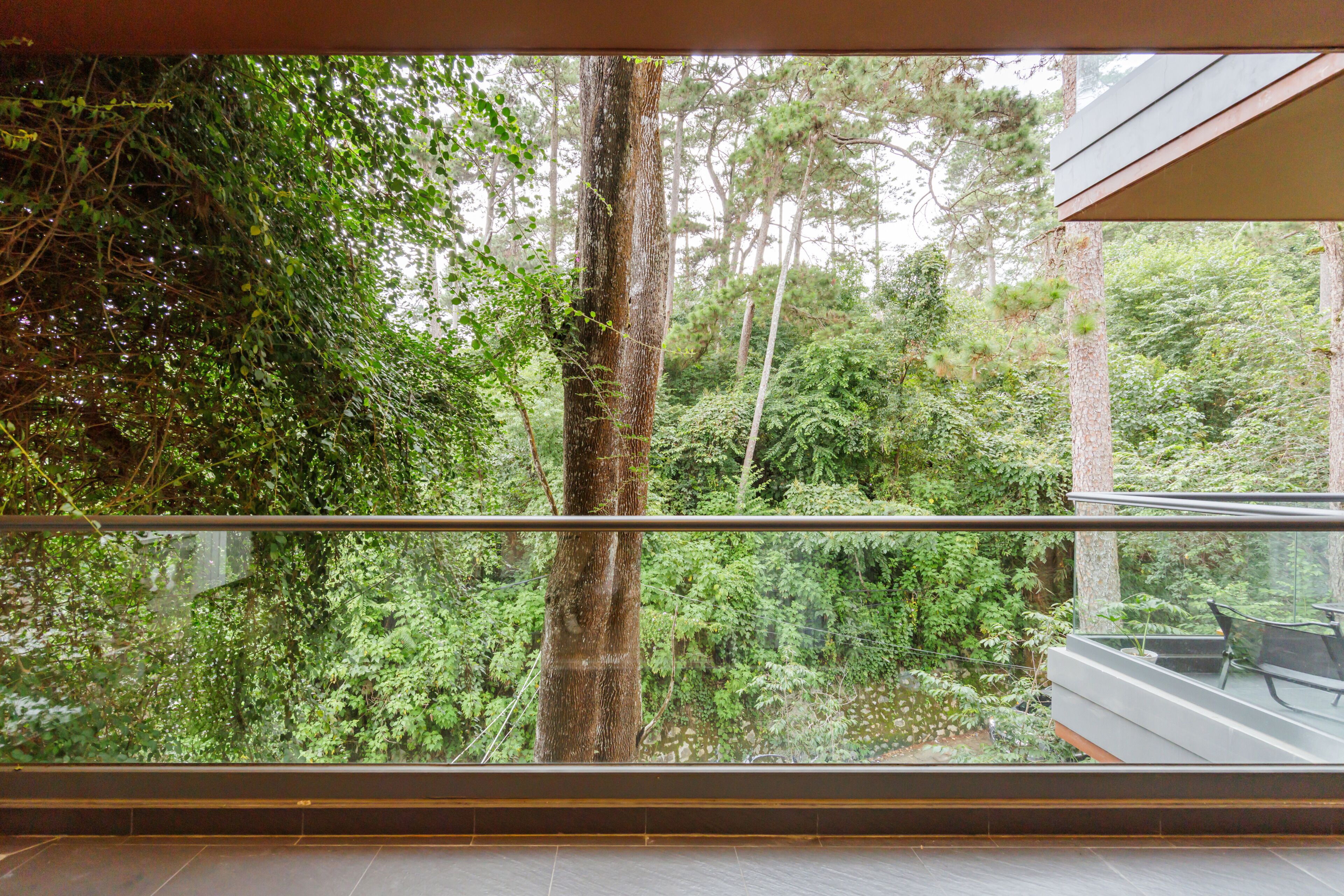 A balcony with a view of dense forest and tall trees.