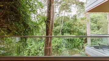 A balcony with a view of dense forest and tall trees.