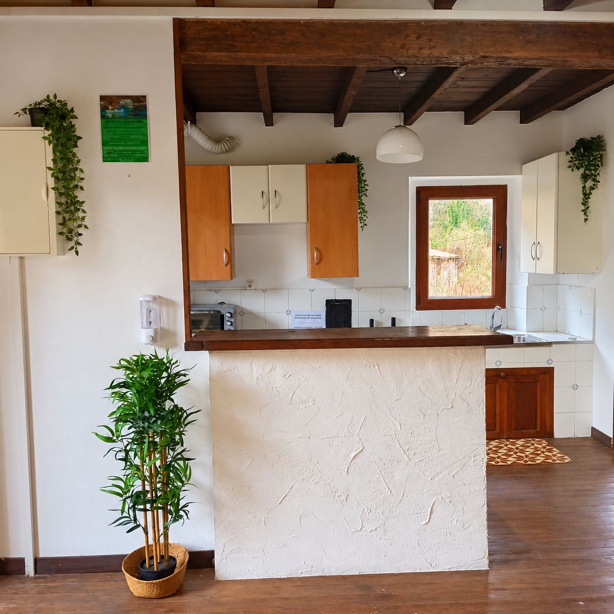 Una cocina con armarios de madera, una isla central y una planta colgante.