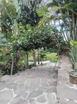Jardines del alojamiento