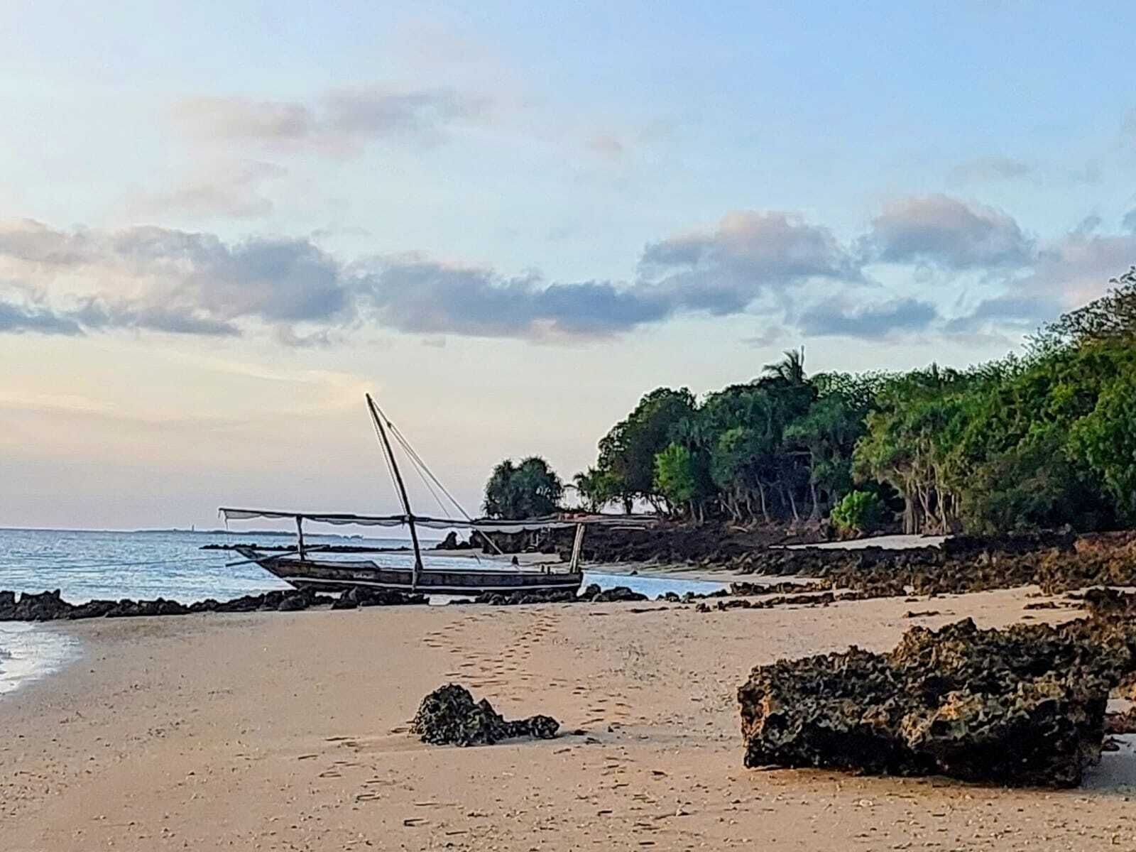 A beach with a boat, rocky shoreline, and dense foliage.