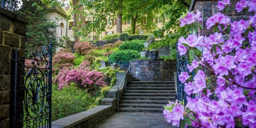 Steps From Downtown + Restaurant & Pet Friendly