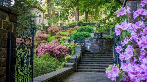 A stone staircase leading up to a building with a wrought iron gate and lush greenery.