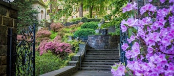 Luxury King Suite + Restaurant & Area Shuttle