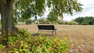 Un parque con un banco bajo un árbol, rodeado de césped y arbustos.