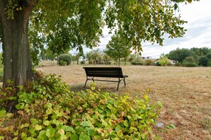 A park with a bench under a tree, surrounded by grass and shrubs. - Bed and Breakfast 'Canard' with Shared Pool, Shared Garden and Wi-Fi (Hauterives)