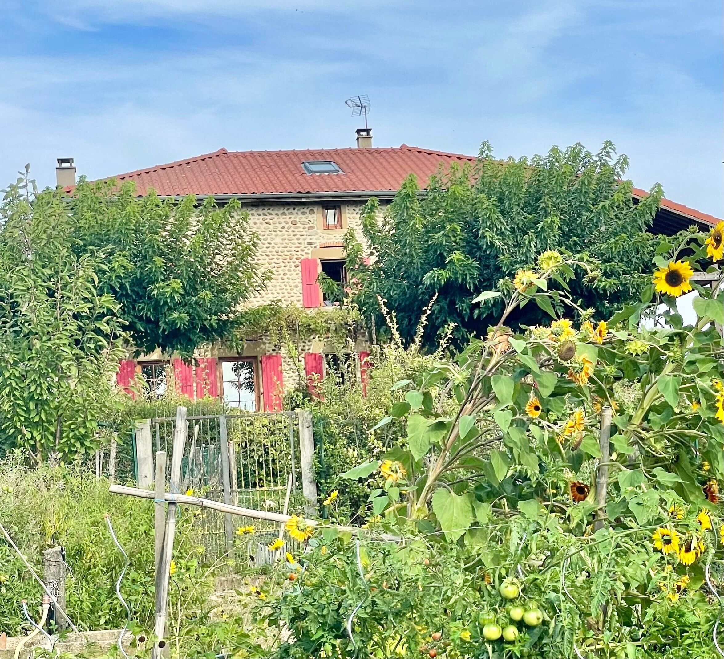 Extérieur