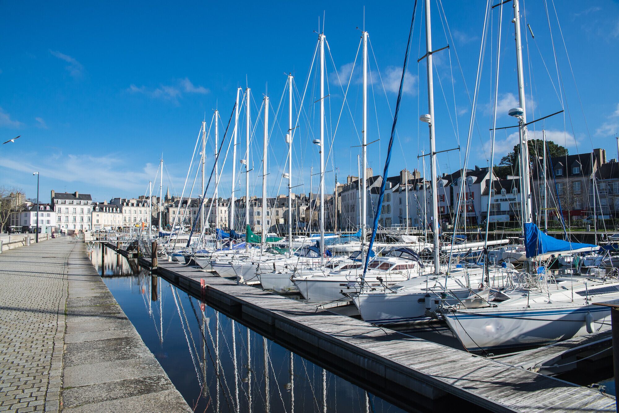 A marina with multiple boats docked along a waterfront, a clear sky, and buildings in the background.