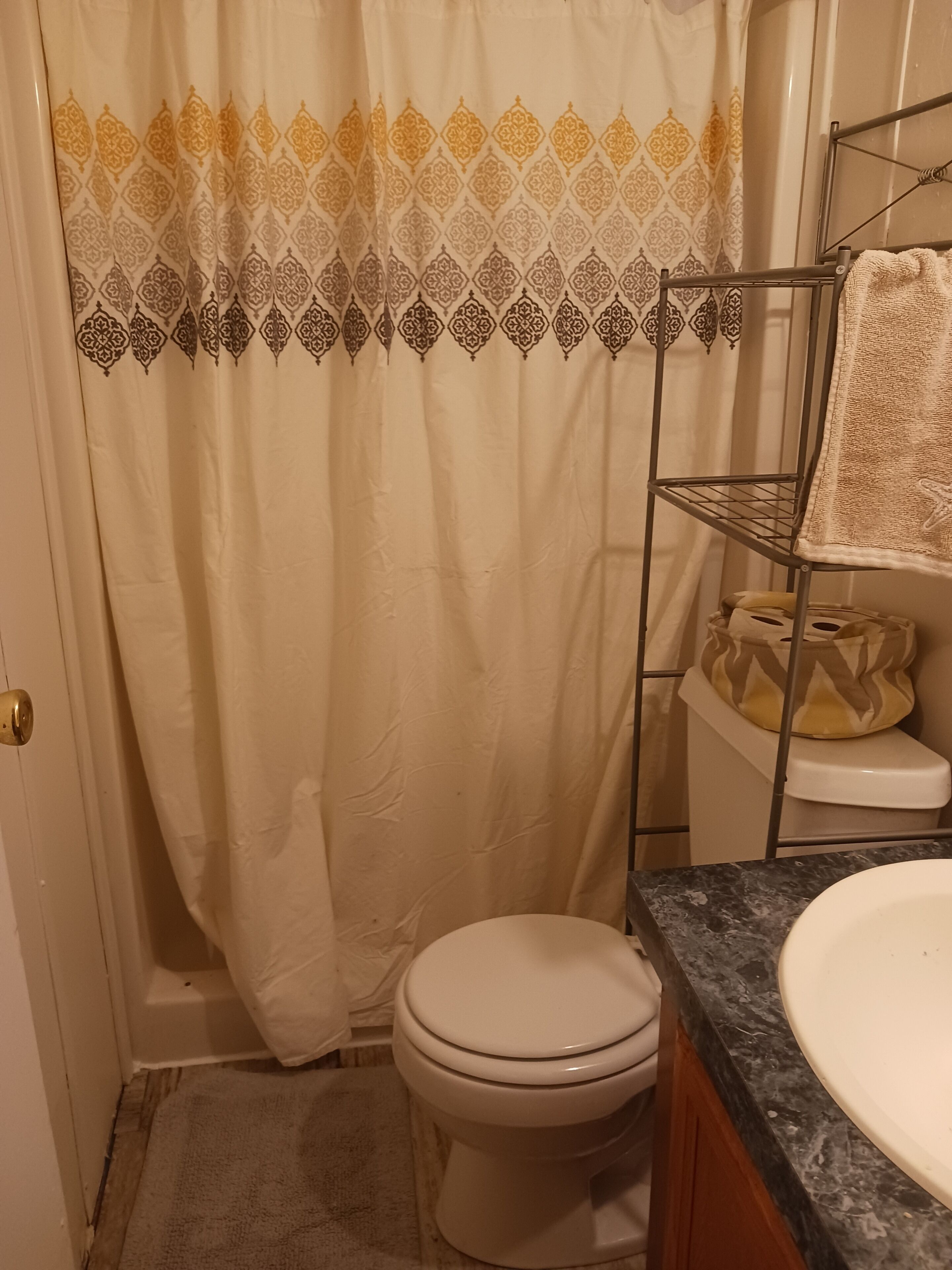 Shower, hair dryer, towels, toilet paper