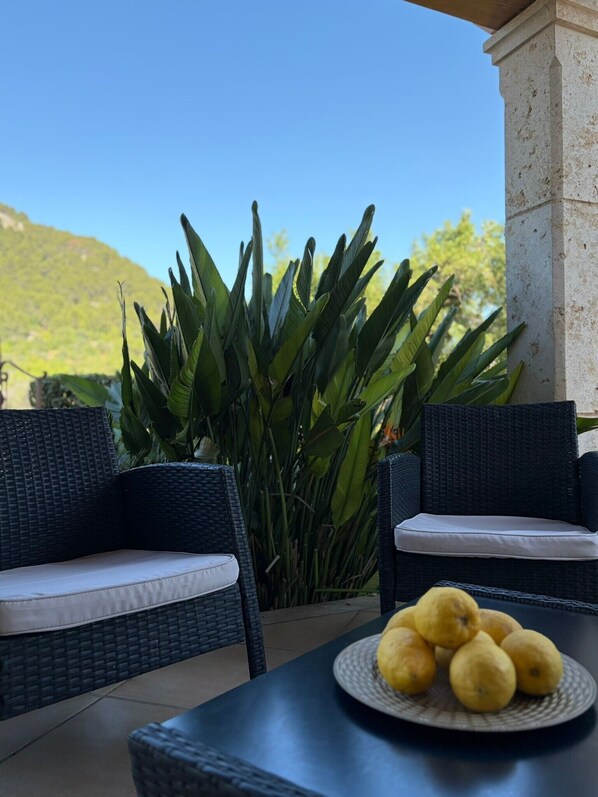 A patio with wicker furniture, a table with lemons, and a backdrop of greenery and a clear sky.