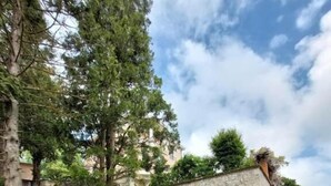 Une maison en pierre avec une cour verdoyante et des arbres.