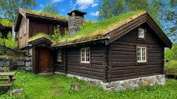 Ulkopuoli