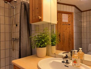 Kylpyhuone, jossa on suihku, pesuallas, peili, ruukussa oleva kasvi ja puinen ovi.