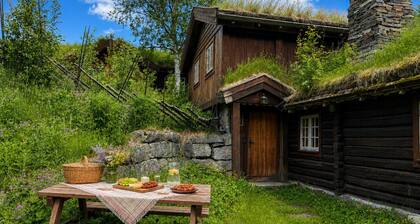 Mountain cabin 4 in Ål with sauna