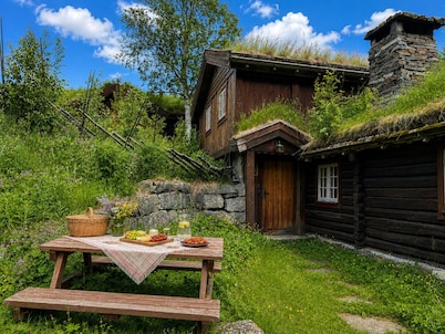 Mountain cabin 4 in Ål with sauna