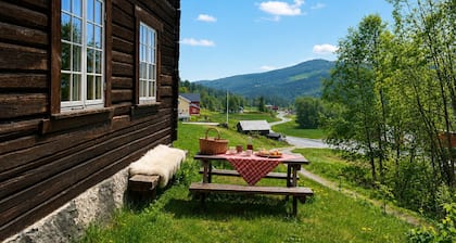 Mountain cabin 5 in Ål with Sauna